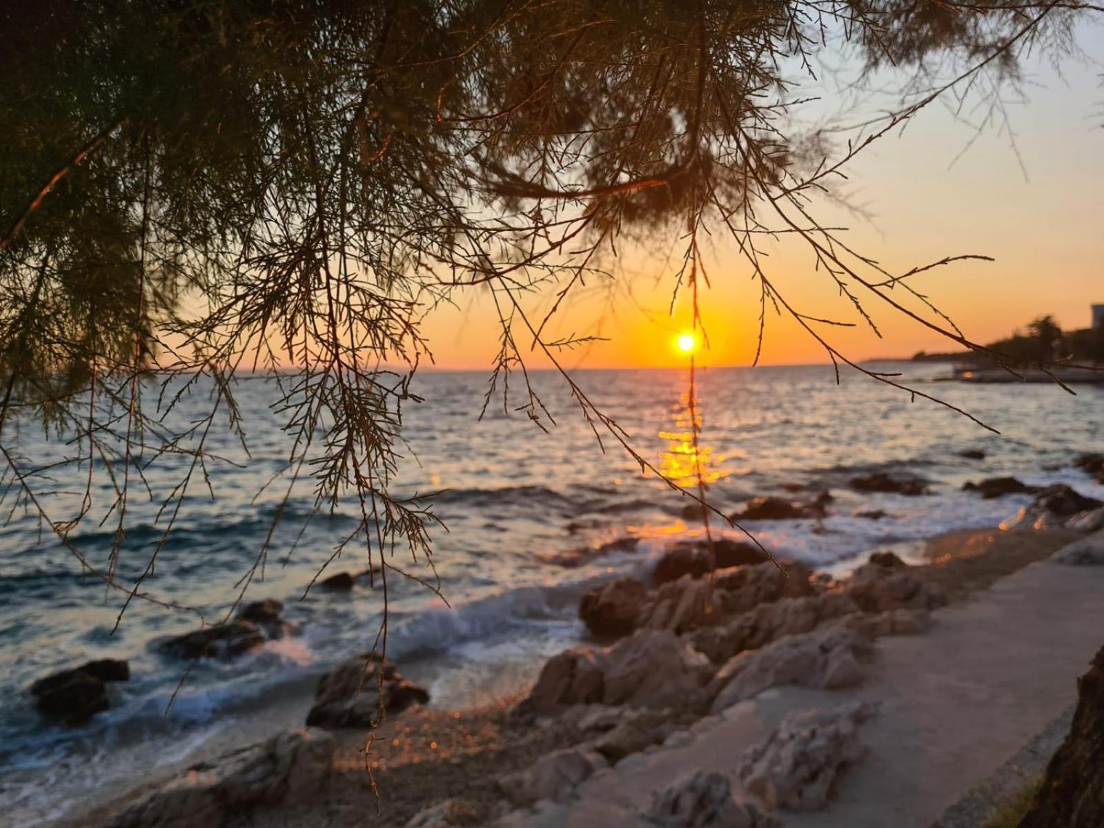 Apartments Kovacev Zadar Eksteriør bilde